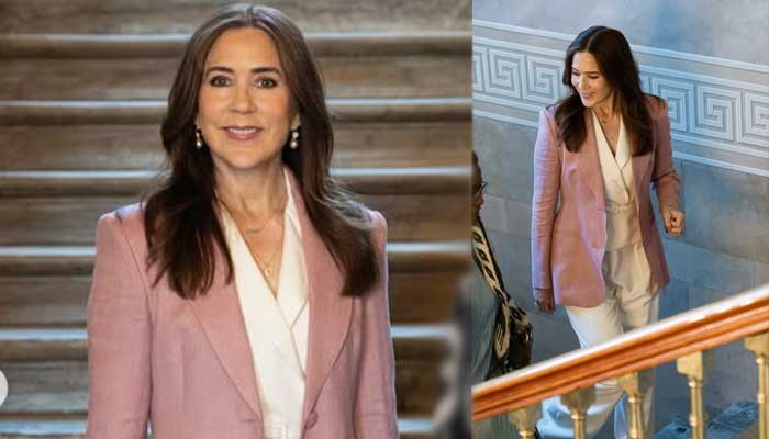 Queen Mary rocks pink Blazer like fashion pro during UNFPA meeting