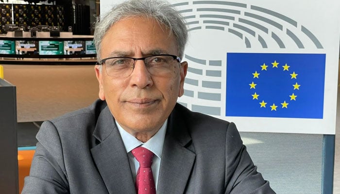 بھارتی جارحیت قابل مذمت ہے، عالمی برادری بھارت کو فوراً روکے، علی رضا سید