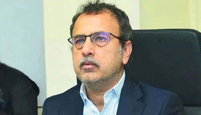 وفاقی وزیر اویس لغاری—فائل فوٹو