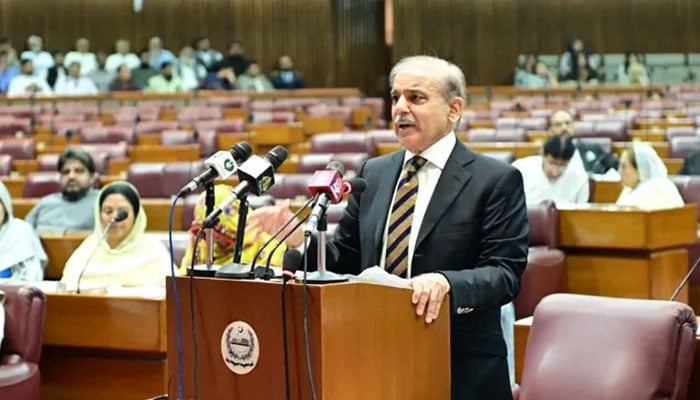 پاک فضائیہ کے عقاب جھپٹے اور آناً فاناً 3 رافیل سمیت 5 بھارتی طیاروں کو مار گرایا، وزیراعظم شہباز شریف