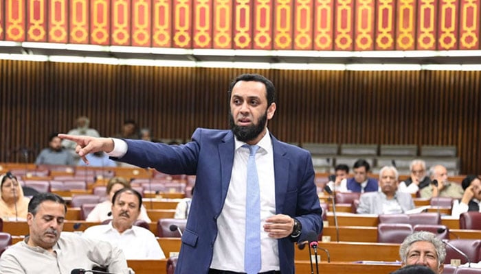 وفاقی وزیر اطلاعات عطا تارڑ---فائل فوٹو