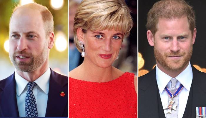 Prince William, Harry earn praises for their joint effort for Dianas legacy