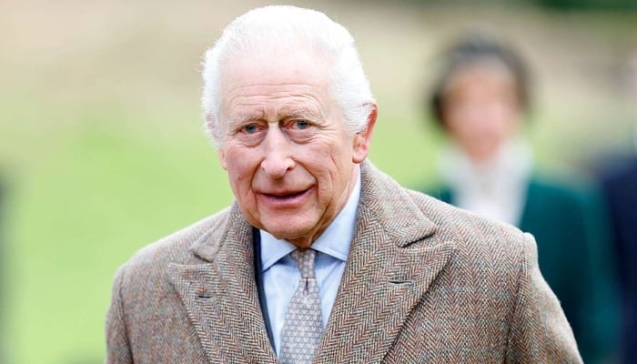 King Charles shares rare glimpse of 80th anniversary celebrations of VE Day