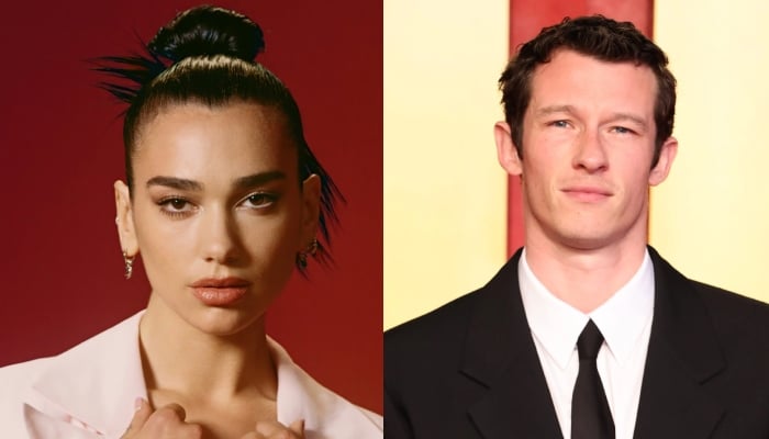 Dua Lipa drops her new book pick after Met Gala debut with Callum Turner