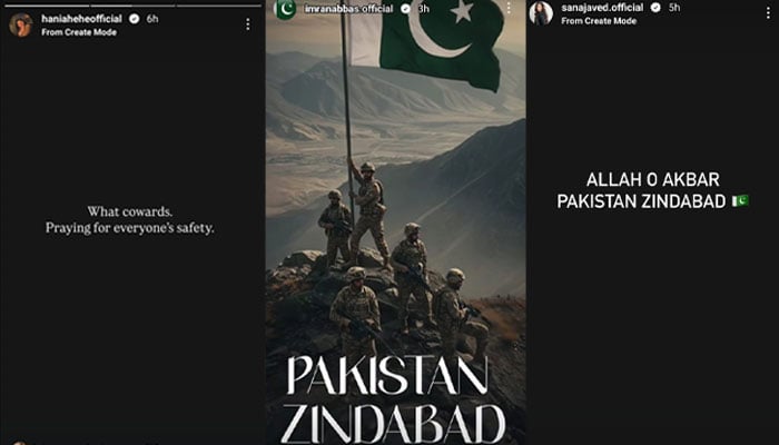 آپریشن بنیان مرصوص: فنکار افواج پاکستان کے شانہ بشانہ کھڑے ہوگئے