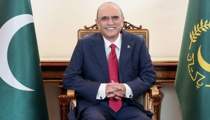 ہم نے بھارتی نام نہاد فوجی قوت کو سخت ٹھیس پہنچائی ہے، صدر آصف زرداری