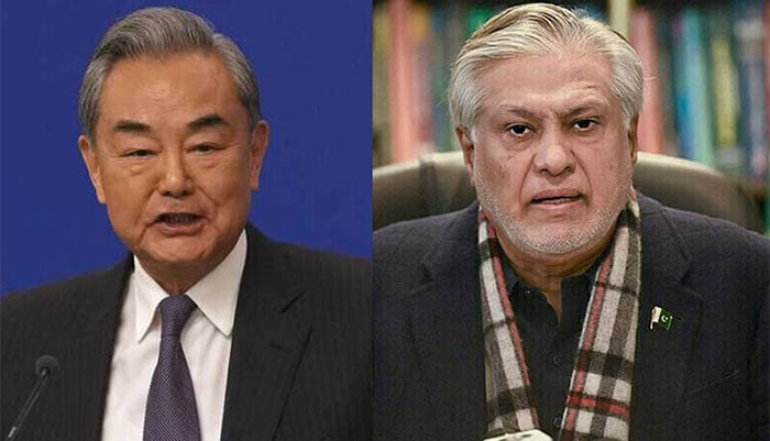 پاکستان اور بھارت کے درمیان جنگ بندی کی کوششوں کی حمایت کرتے ہیں، چینی وزیر خارجہ