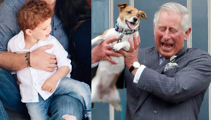 King Charles marks dog Freddys birthday after snubbing Archie’s milestone