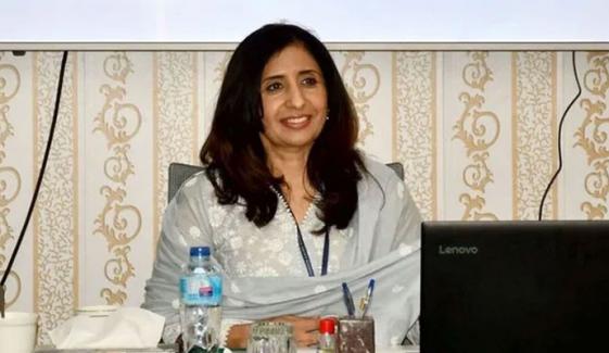 پاک بھارت جنگ، سفارت خانہ پاکستان کی سہولتوں کی فراہمی پر  فرانسیسی میڈیا کا اظہارِ تشکر