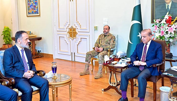 شہباز شریف نے کہا کہ بھارت سے کشیدگی کے دوران پاکستان اور ترکیہ کے برادرانہ تعلقات کی تاریخ میں شاندار باب کا اضافہ ہوا۔ فوٹو پی آئی ڈی