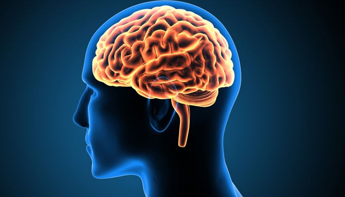 دماغ کی صلاحیتوں کو تیزی سے متاثر نے والے عوامل