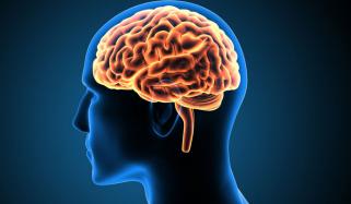 دماغ کی صلاحیتوں کو تیزی سے متاثر نے والے عوامل