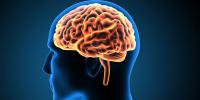 دماغ کی صلاحیتوں کو تیزی سے متاثر نے والے عوامل
