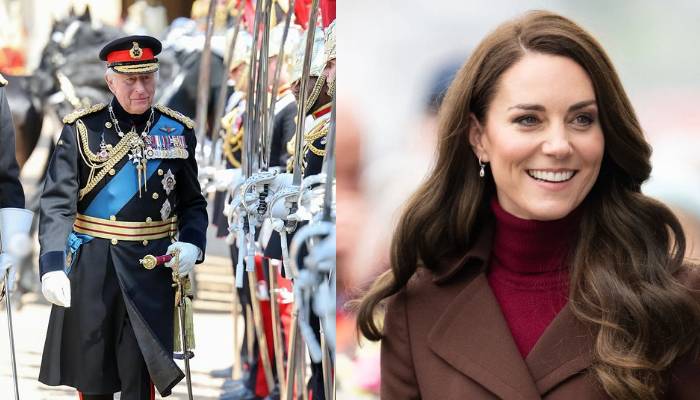 King Charles issues warning after Princess Kate series announcement