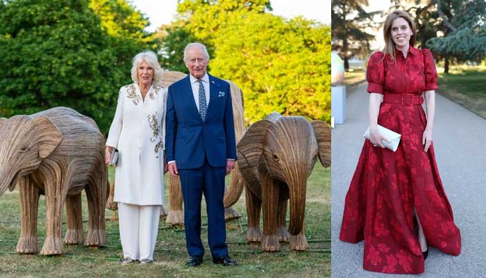 Princess Beatrice paints town red as she joins King Charles for royal outing