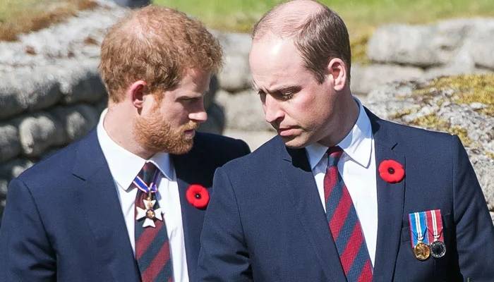Royal Family shares delightful message amid William, Harry coronation feud