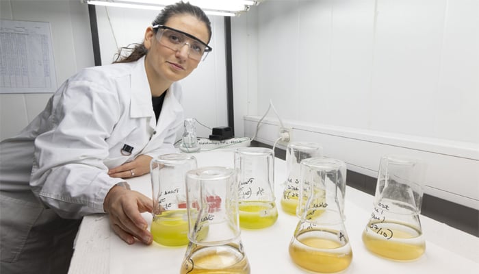 Eco-friendly plastics could pose more risks than expected, researchers warn