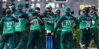 قومی کرکٹ ٹیموں شاہینز، ایمرجنگ اور ایج گروپس کیلئے پلان تیار