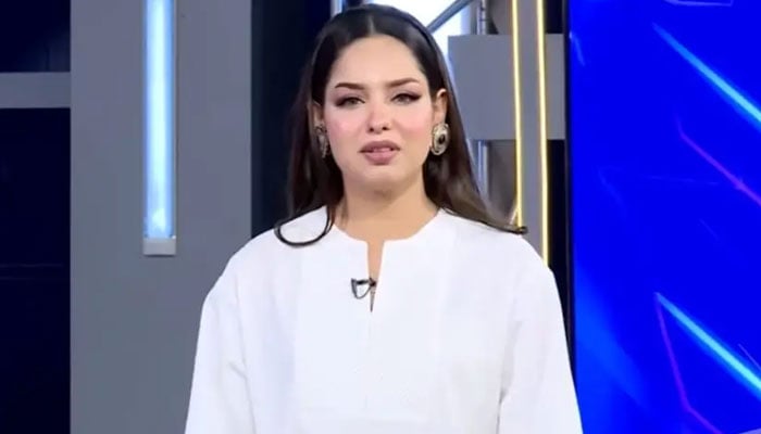 فوٹو — اسکرین گریب