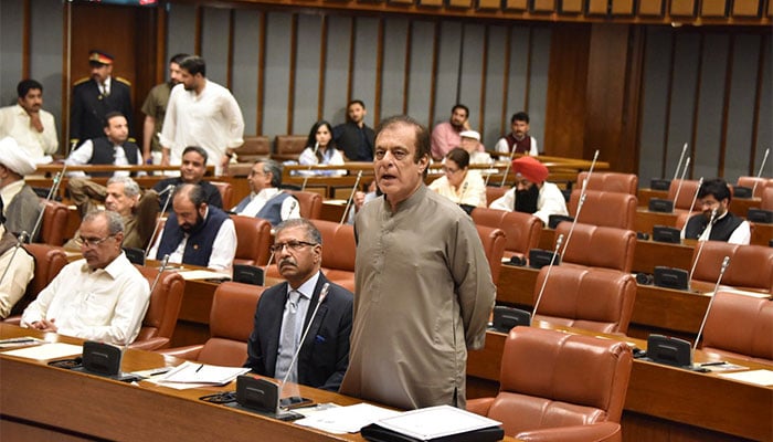 ہماری ایئر فورس نے ثابت کیا مہنگا جہاز لینے سے دفاعی صلاحیت بہتر نہیں ہوتی، شبلی فراز