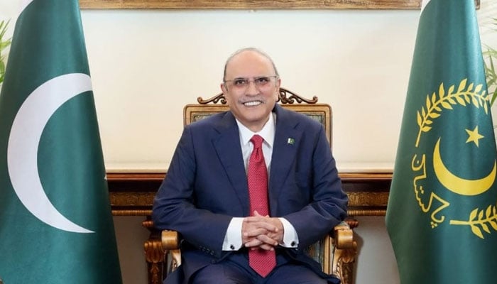 صدر مملکت آصف علی زرداری - فوٹو: فائل