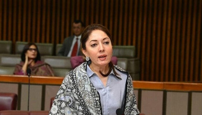 نئے منصوبوں کے بجائے سکھر حیدرآباد موٹروے مکمل کریں: شرمیلا فاروقی
