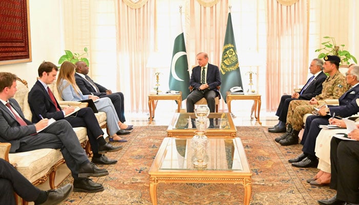 وزیراعظم شہباز شریف اور یرطانوی وزیرِ خارجہ ڈیوڈ لیمی کی ملاقات—تصاویر بشکریہ سوشل میڈیا