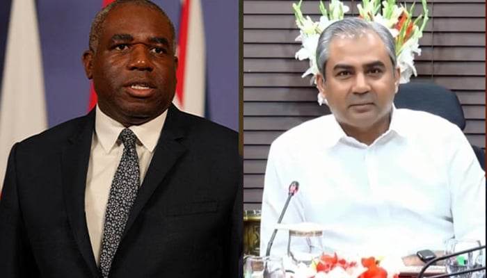 وفاقی وزیرِ داخلہ محسن نقوی سے برطانوی وزیر خارجہ ڈیوڈ لیمی—فائل فوٹو