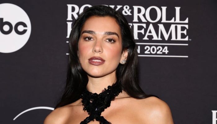 Dua Lipa drops series of snaps from Radical Optimism Tour in Lyon