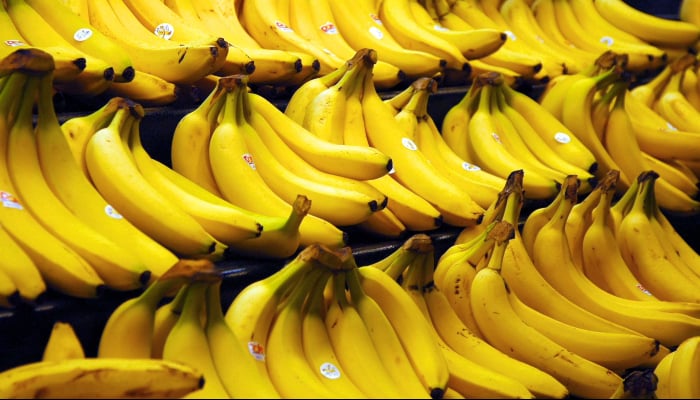 Climate change could wipe out 60% of banana crops by 2080, study revealed