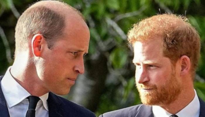 Prince William and Prince Harry