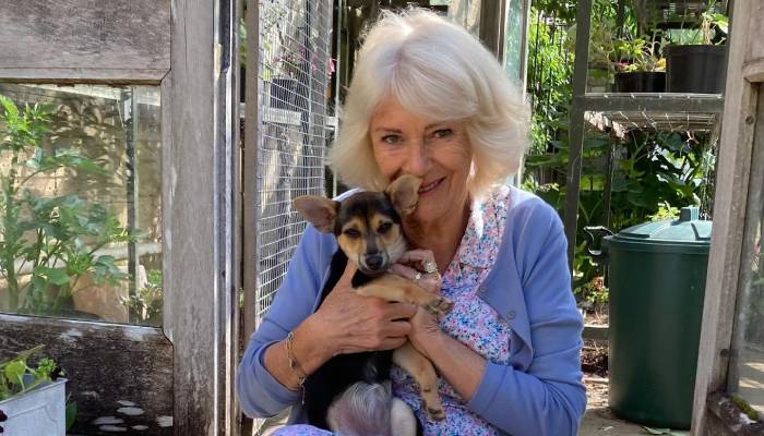 Queen Camilla’s new ‘much-loved’ pet Moley finally makes Instagram debut