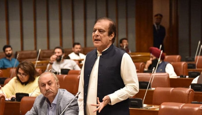 فائل فوٹو، شبلی فراز