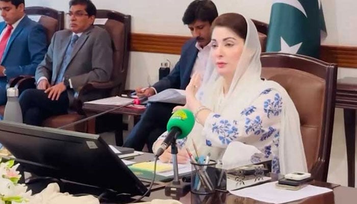 مریم نواز(فائل فوٹو)۔