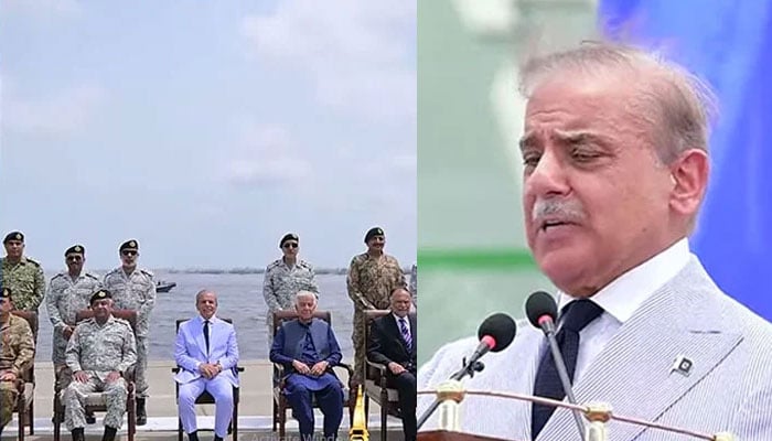 فوٹو اسکرین گریب