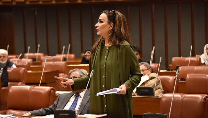 سینیٹر شیری رحمان : فوٹو سینیٹ فیس بک