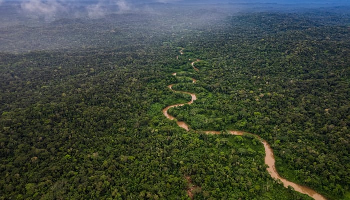 France plans to crack down on crime with Amazon jungle prison