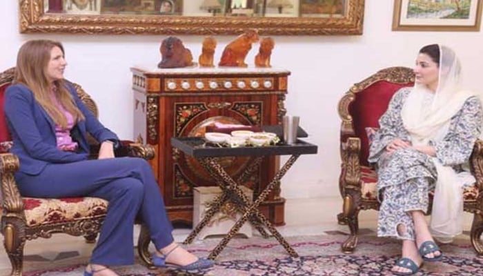 وزیرِاعلیٰ پنجاب مریم نواز  اور برطانوی ہائی کمشنر جین میریٹ—فائل فوٹو