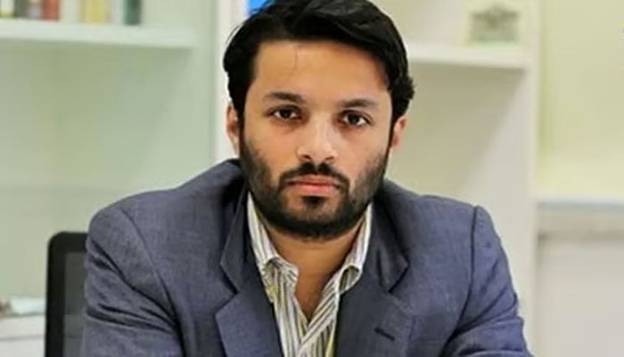 پروفیسر علی خان محمود آباد(فائل فوٹو)۔