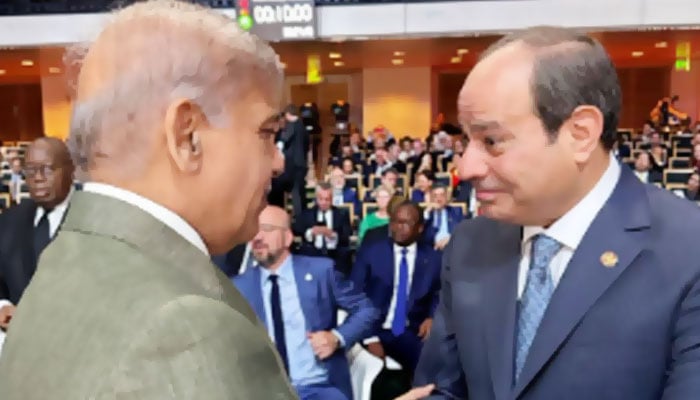—فائل فوٹو