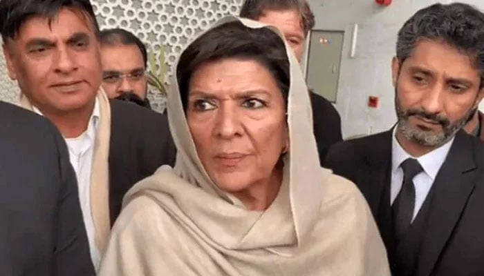 علیمہ خان — فائل فوٹو