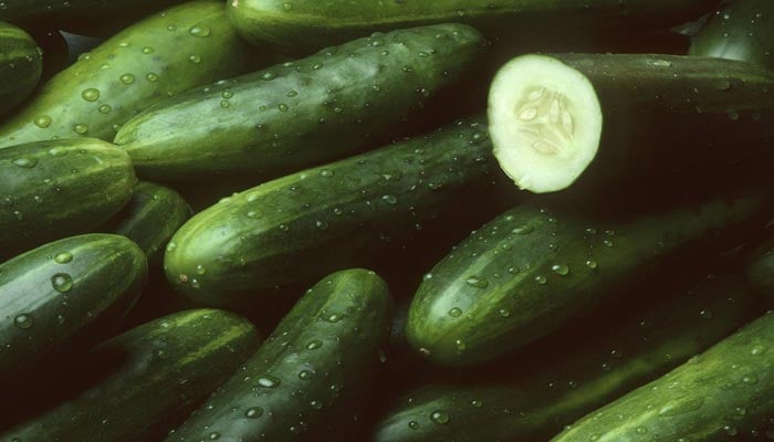 Cucumbers recalled for salmonella after many people got sickened across 15 states