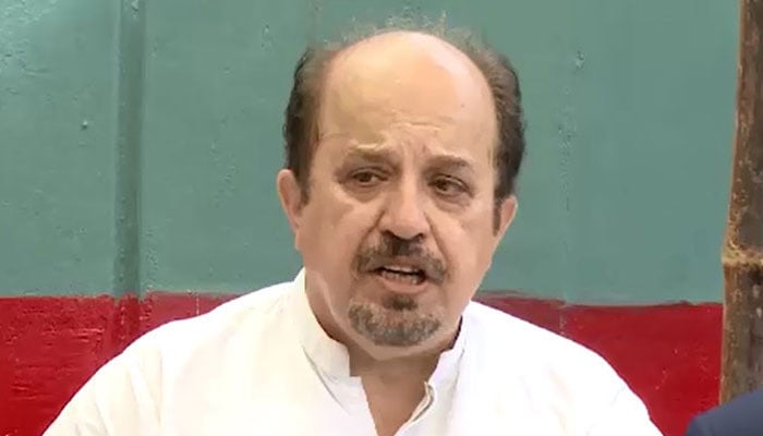 فردوس شمیم نقوی— فائل فوٹو