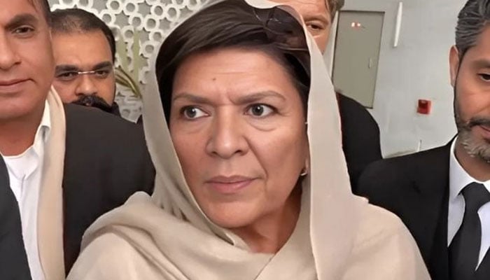 علیمہ خان (فائل فوٹو)۔