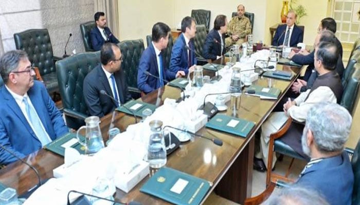وزیرِاعظم شہباز شریف سے ہچیسن پورٹس کے سی ای او ایرک اپ کی ملاقات—تصویر بشکریہ اے پی پی