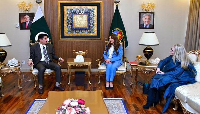 گورنر کے پی فیصل کریم کنڈی سے قائم مقام امریکی سفیر نیٹلی بیکر کی ملاقات—تصویر بشکریہ ایکس
