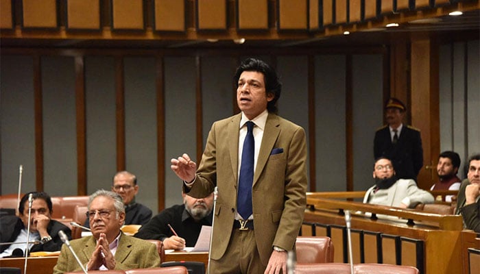 سینیٹر فیصل واوڈا۔ فائل فوٹو