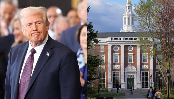 Harvard’s international students safe for now after judge halts government rule