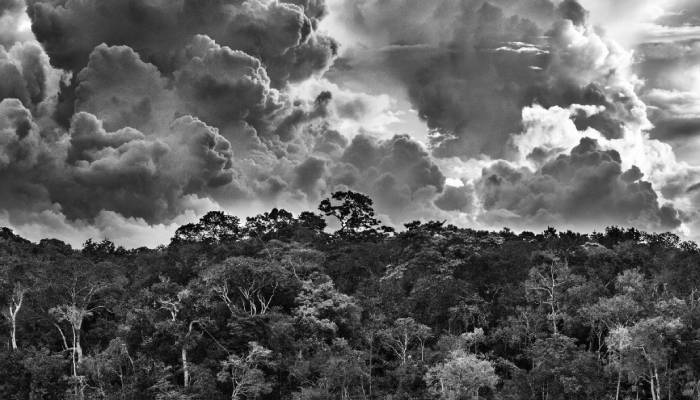 Sebastião Salgado, legendary photographer passes away at 82