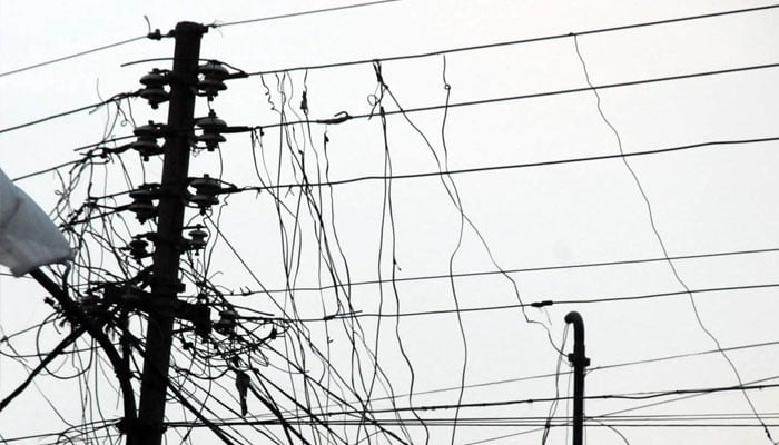 بجلی چوری پر مقدمات کے اندراج سے متعلق کریمنل بل 2024 کثرت رائے سے مسترد